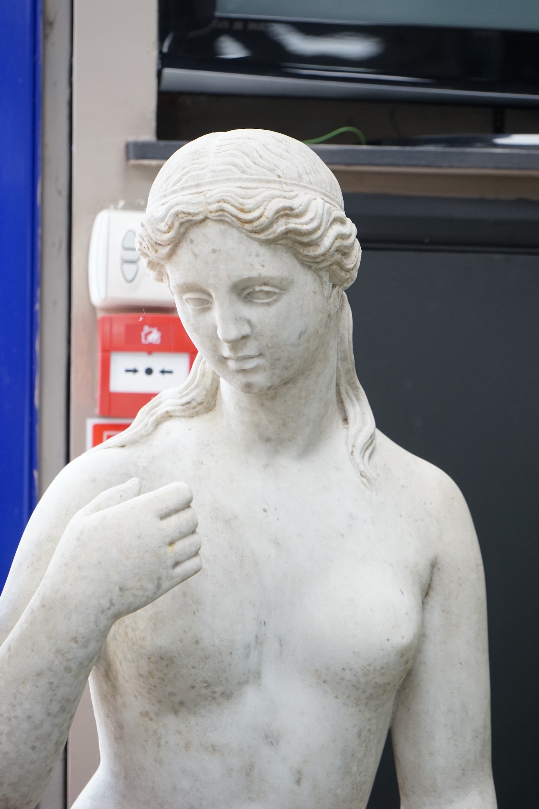 After the Antique. A large carved reconstituted marble figure of Venus, standing beside a tree trunk, 141cm high